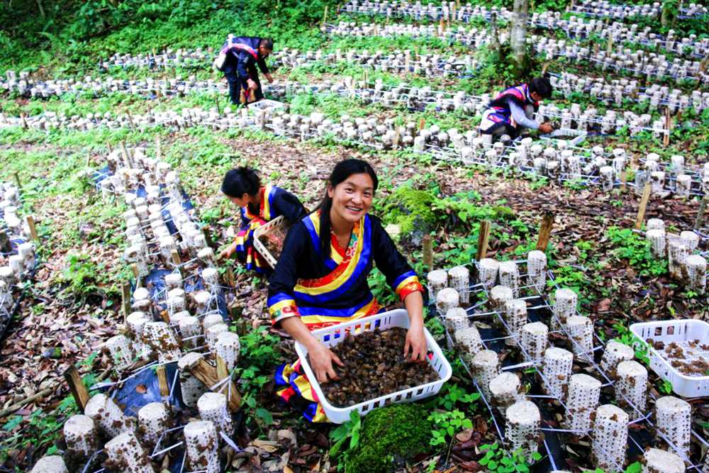 喜獲豐收展笑顏。次仁央宗攝