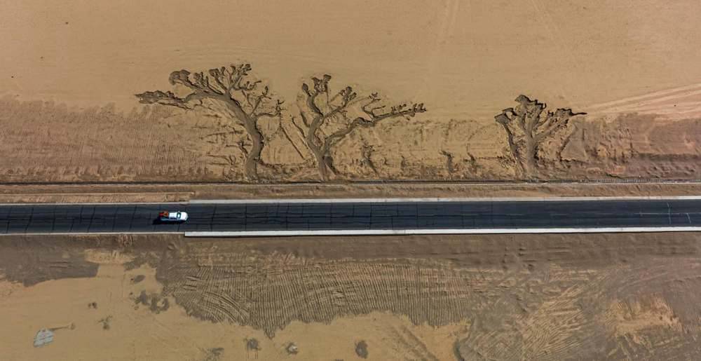 位于國(guó)道216沿線的“大地之樹(shù)”。邊巴多吉攝