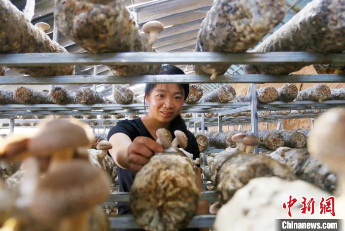 甘肅天?！跋愎椒蚱蕖毕律饺氪ǎ捍笈锢镉板X景”