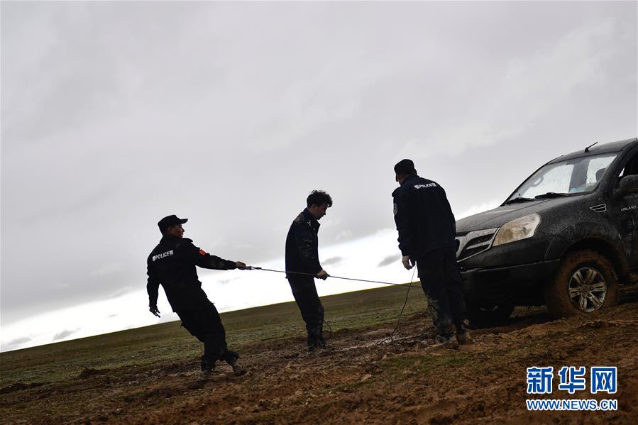 （圖文互動）（10）記者手記：可可西里，“挪”向“藏羚羊大產(chǎn)房”的14個半小時