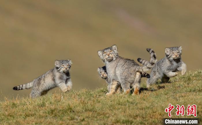 圖為李善元獲獎(jiǎng)作品《當(dāng)媽媽說跑步前進(jìn)》。　李善元 攝