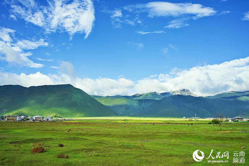 納帕海濕地風(fēng)景。呂昊辰攝