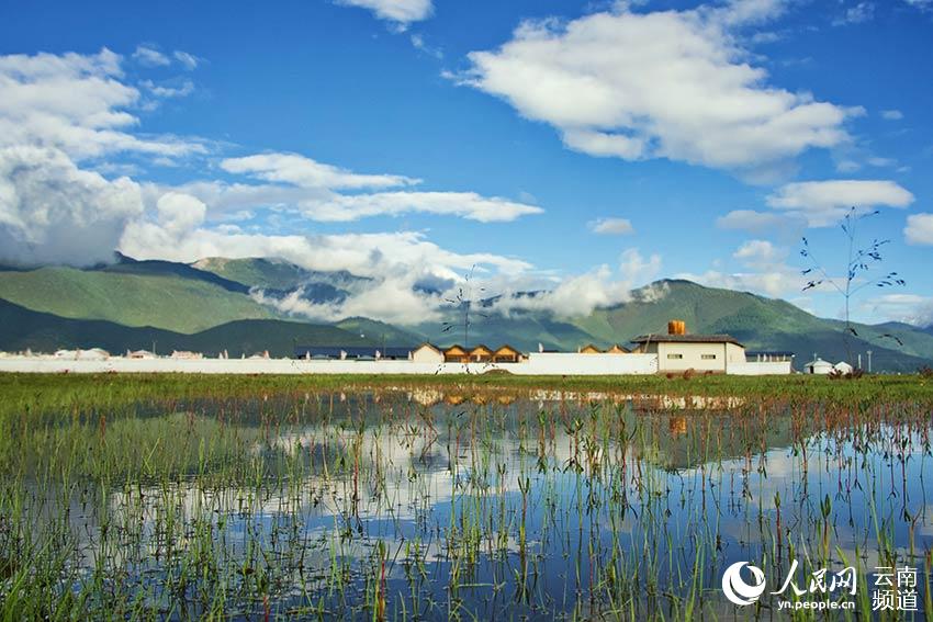 納帕海濕地風(fēng)景。呂昊辰攝