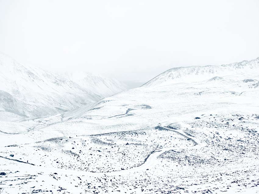 資料圖。云南白馬雪山國家級自然保護(hù)區(qū)供圖
