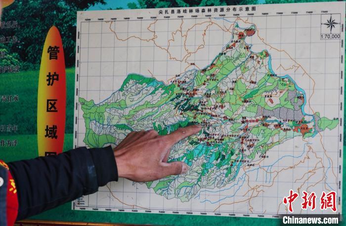 圖為桑杰加介紹管護區(qū)域分布?！●R銘言 攝