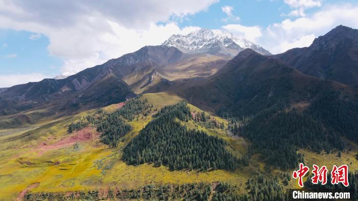 祁連山國家公園生態(tài)保護(hù)巡回檢察室成立:為國家公園提供司法保障