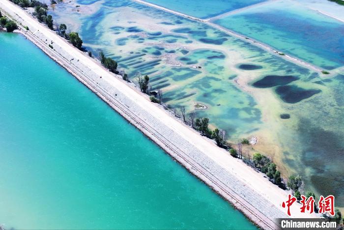 航拍貴德縣黃河。　馬銘言 攝