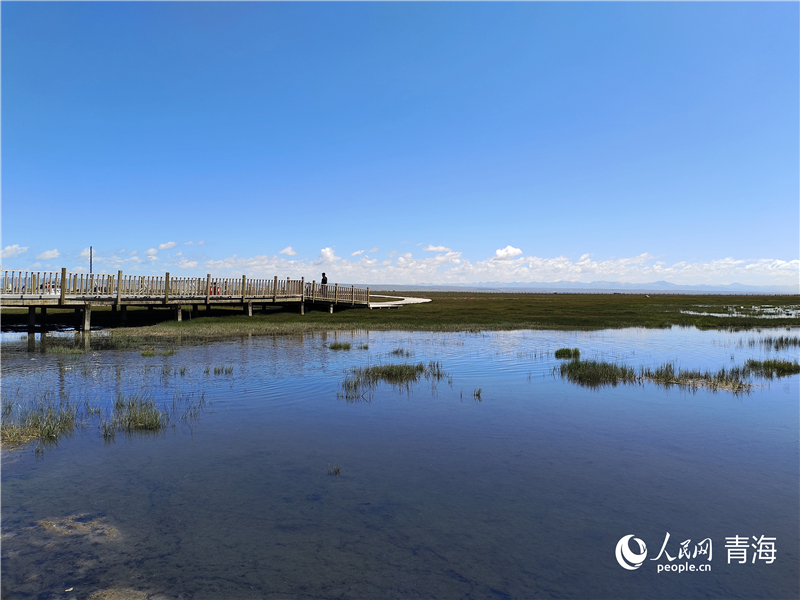 青海湖仙女灣。人民網(wǎng) 張莉萍攝