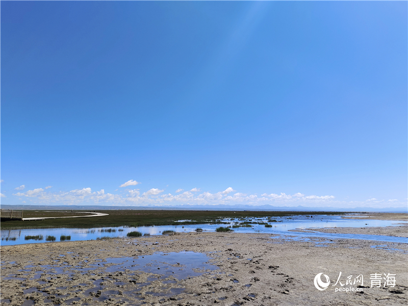   青海湖仙女灣。人民網(wǎng) 張莉萍攝