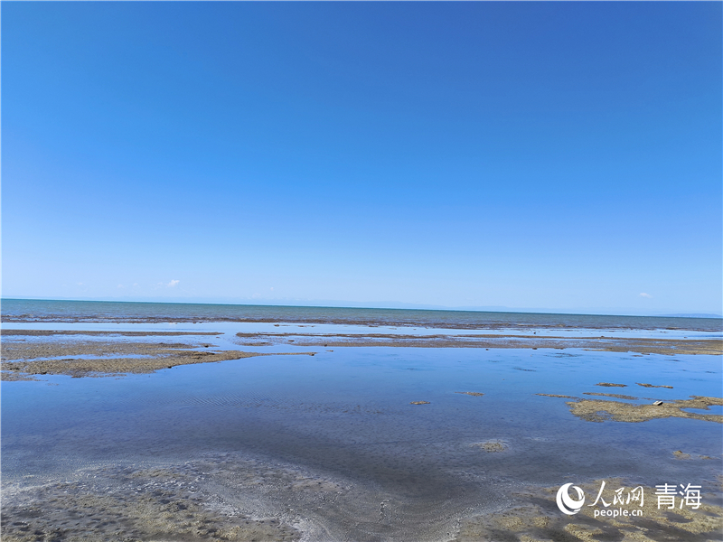   青海湖仙女灣。人民網(wǎng) 張莉萍攝