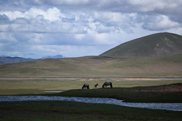 唐古拉山腳下，聽牧民講述長江源生活變遷