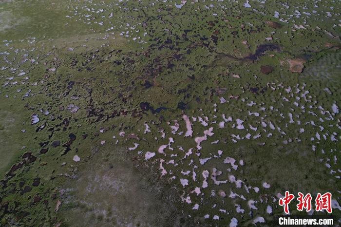 航拍查旦濕地?！●R銘言 攝