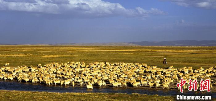 青?，敹唷鞍渍渲椤弊尠傩斟X袋鼓起來(lái)