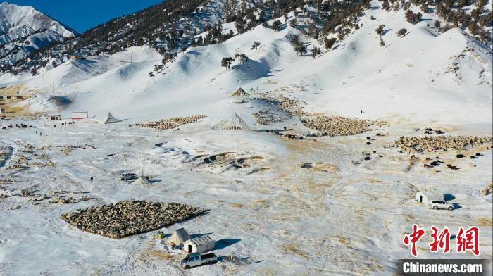 圖為無人機航拍牧場。　都蘭縣融媒體中心供圖