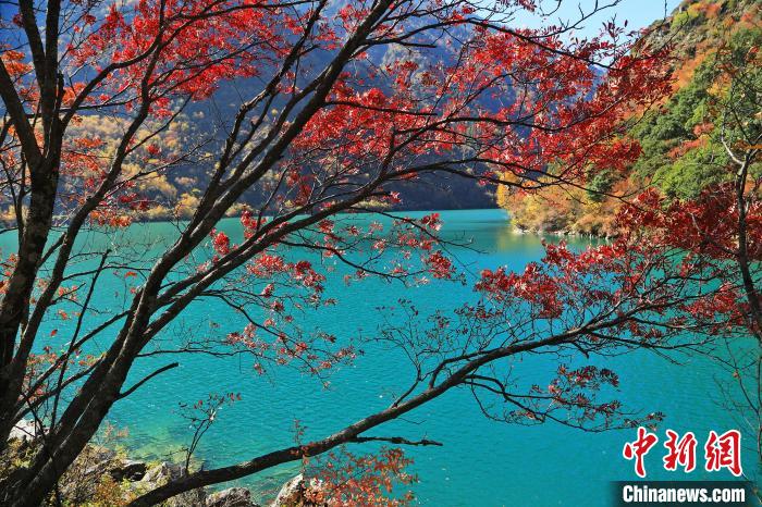 松坪溝風(fēng)光。　何清海 攝