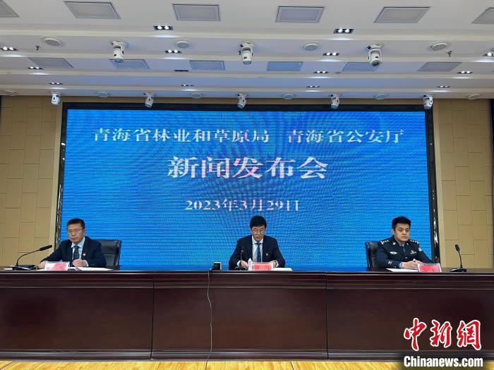 青海去年占用林地、草地準(zhǔn)予許可件同比實現(xiàn)“雙減”