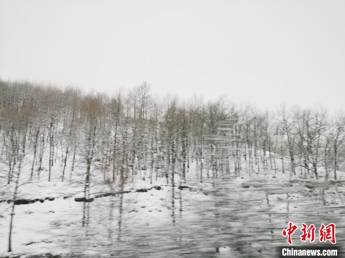 圖為青海青沙山區(qū)域被降雪覆蓋?！?zhí)砀?攝