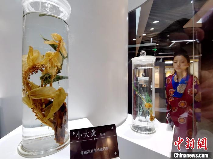 青海中藏醫(yī)藥發(fā)展提速：建設(shè)一批重點?？茖W(xué)科，推廣一批適宜技術(shù)