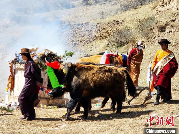 圖為春耕儀式現(xiàn)場?！⊥觖惿?供圖