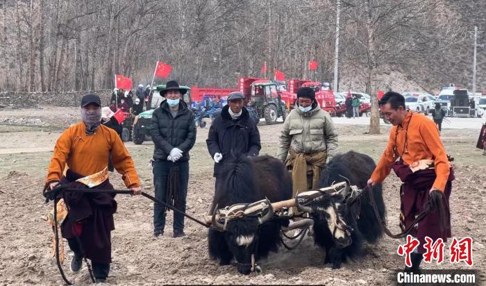 圖為活動現(xiàn)場當?shù)厝罕娬故緜鹘y(tǒng)春耕方式。　李江寧 攝