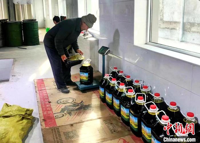 圖為高原油菜籽榨出的菜籽油?！埖么?攝