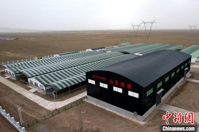 圖為航拍生態(tài)畜牧業(yè)集中規(guī)?；B(yǎng)殖基地。　蔡志睿 攝