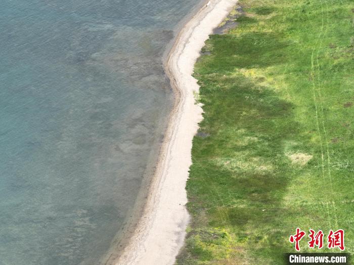 圖為航拍仲夏時(shí)節(jié)，青海湖畔綠茵如毯?！∑钤鲚?攝