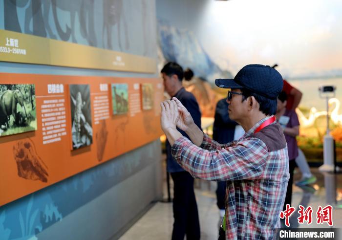 圖為臺(tái)商在祁連山國(guó)家公園生態(tài)科普館觀看墻面藝術(shù)圖文?！⊙Φ?攝