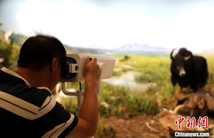 圖為臺(tái)商觀看祁連山國家公園生態(tài)科普館內(nèi)生態(tài)場景。　薛蒂 攝