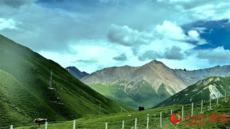 果洛風(fēng)光。人民網(wǎng) 劉沛然攝