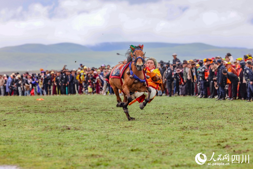 馬術表演現(xiàn)場。洛絨尼瑪攝