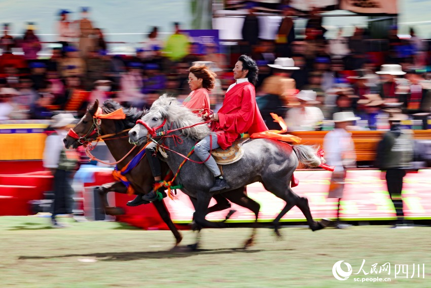 馬術表演現(xiàn)場。洛絨尼瑪攝