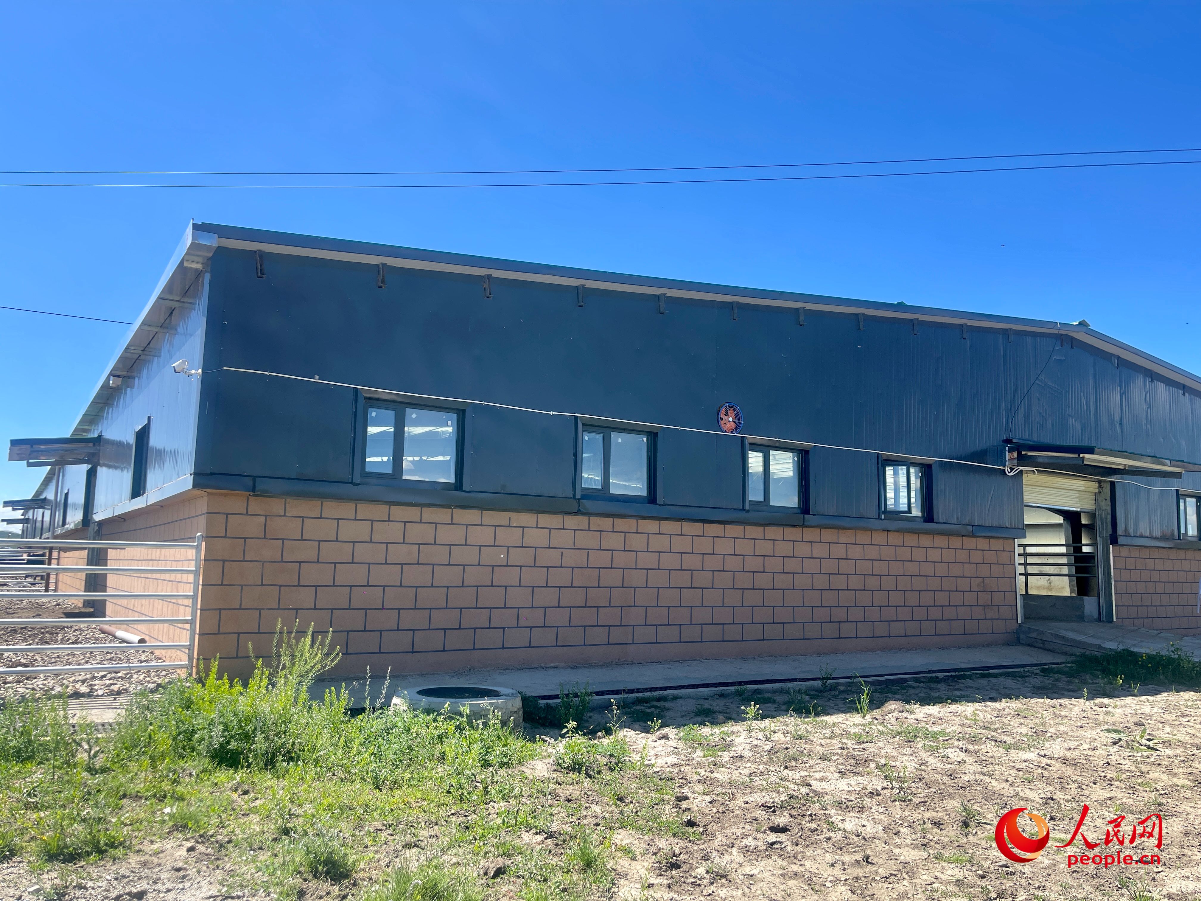 唐日合作社。人民網(wǎng) 周靜圓攝