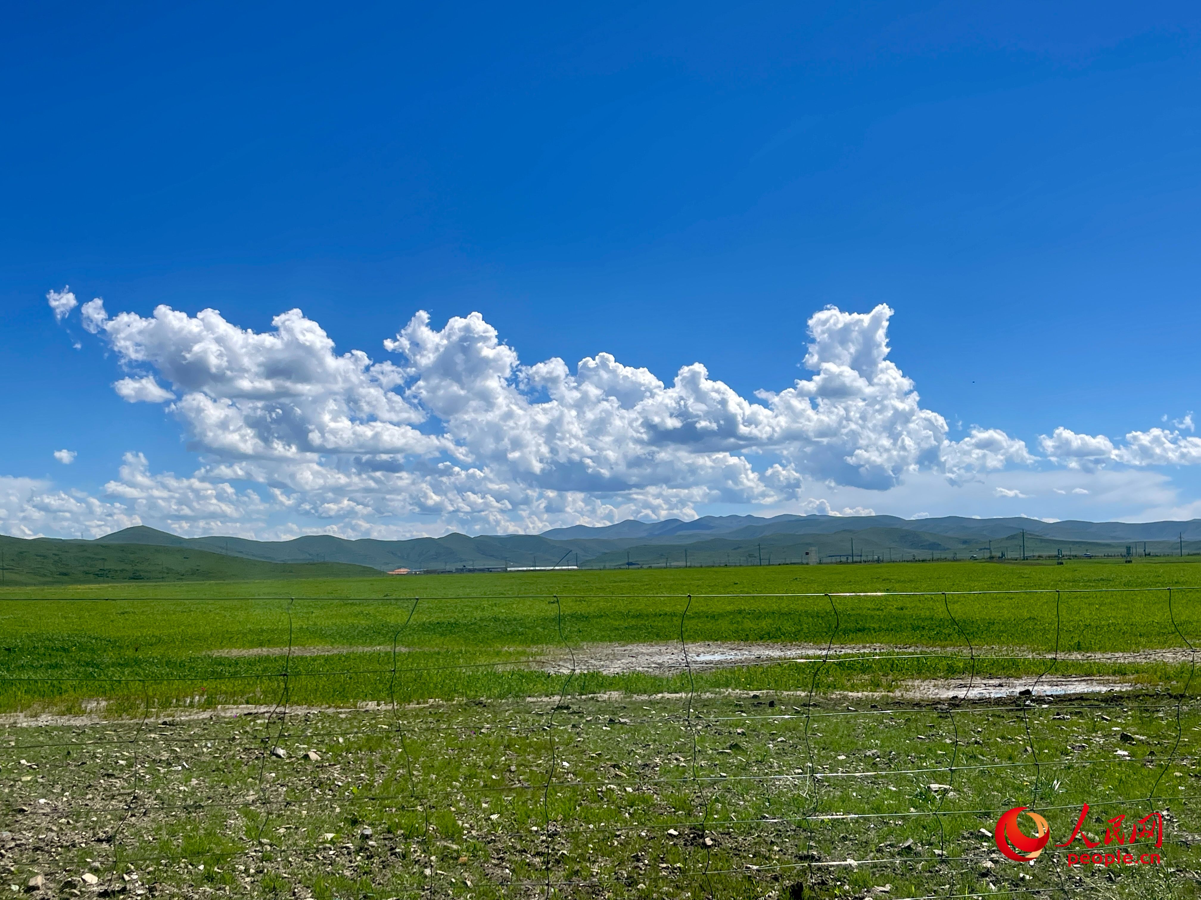 唐日合作社附近，藍天白天、綠草如茵。人民網(wǎng) 周靜圓攝