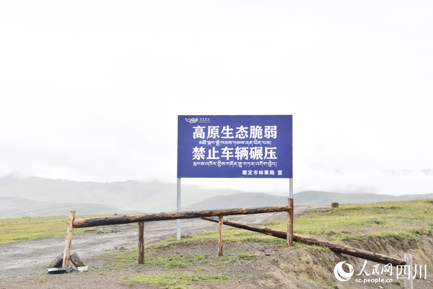 禁止車輛碾壓草原的提示牌。人民網(wǎng)記者 王洪江攝