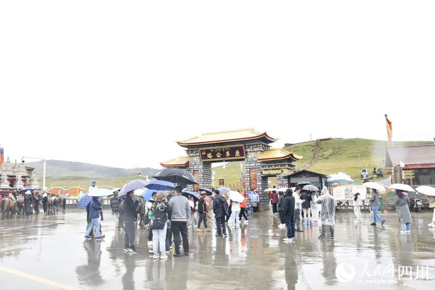 甘孜州塔公草原。人民網(wǎng)記者 王洪江攝
