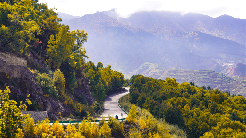 秋韻坎布拉。羊格東智攝