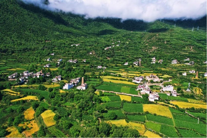 綠色丹巴。丹巴縣委宣傳部供圖