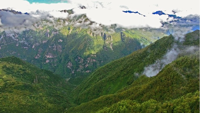 丹巴縣牦牛谷省級(jí)森林公園風(fēng)光。丹巴縣委宣傳部供圖