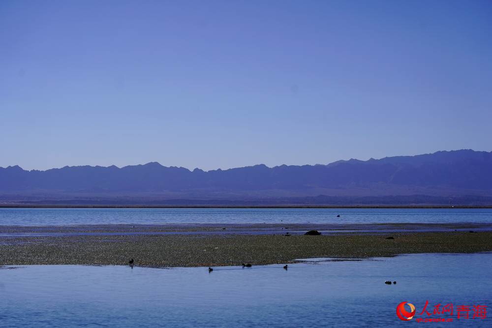 安靜的可魯克湖。人民網 陳明菊攝