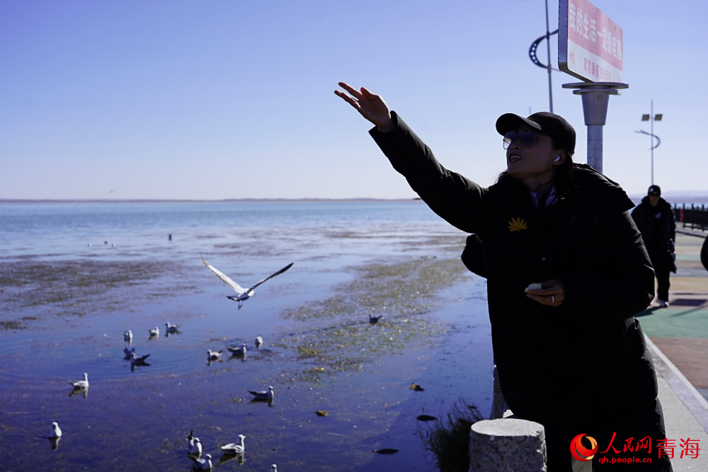 游客投喂水鳥。人民網 陳明菊攝