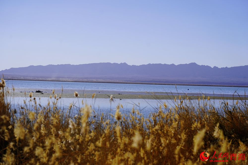 可魯克湖秋色如畫。人民網 陳明菊攝