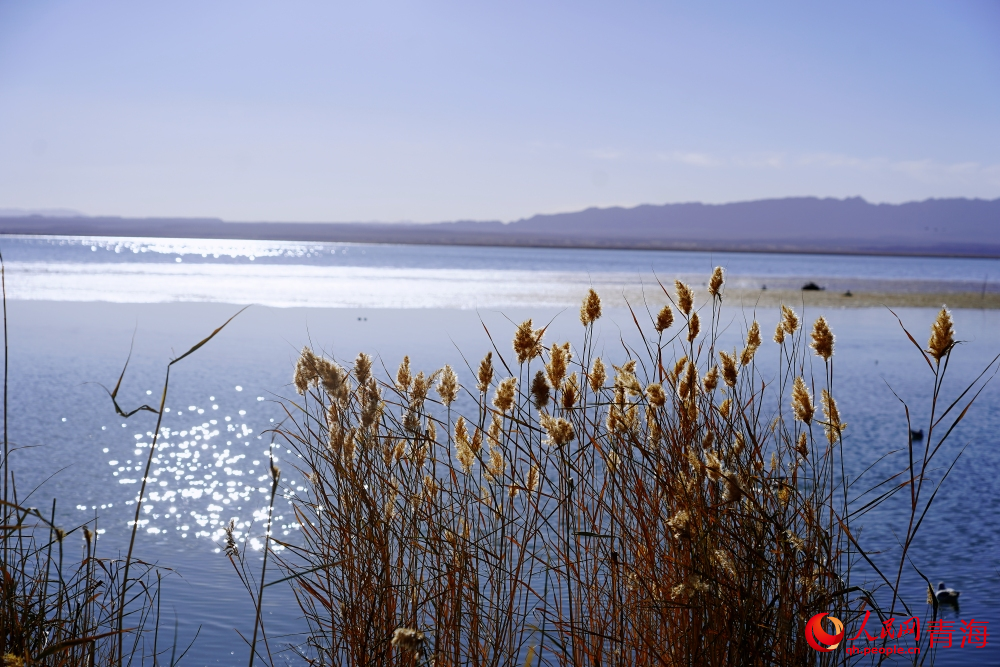 可魯克湖秋色如畫。人民網 陳明菊攝