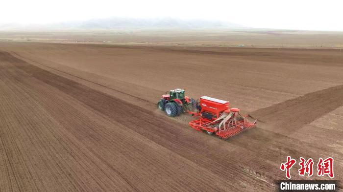 青海貴南牧場：萬畝青稞種植基地播種忙