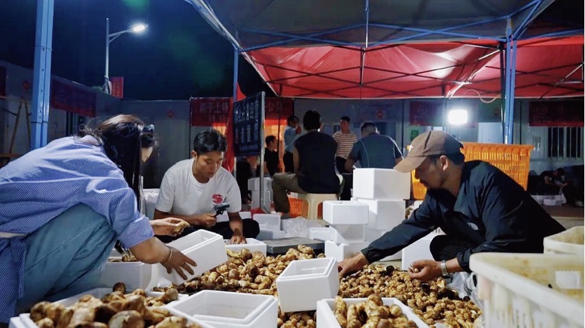 直播現(xiàn)場(chǎng)。雅江外宣供圖