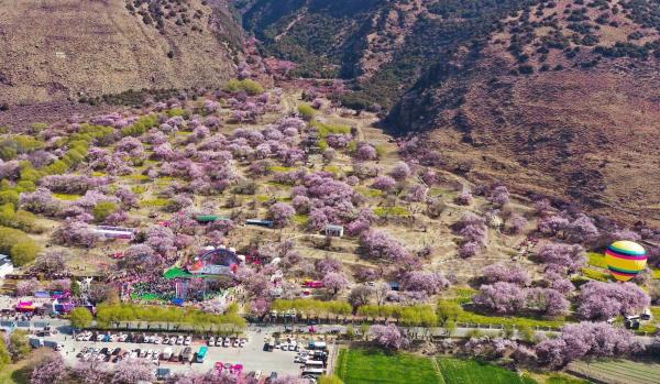 世外桃源！一組圖告訴你，西藏林芝桃花能有多美