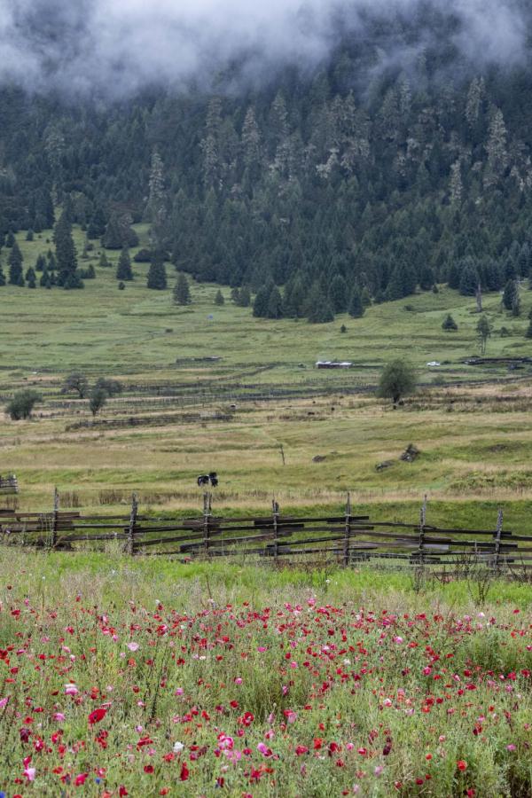 跟我，踏上最美“景觀大道”