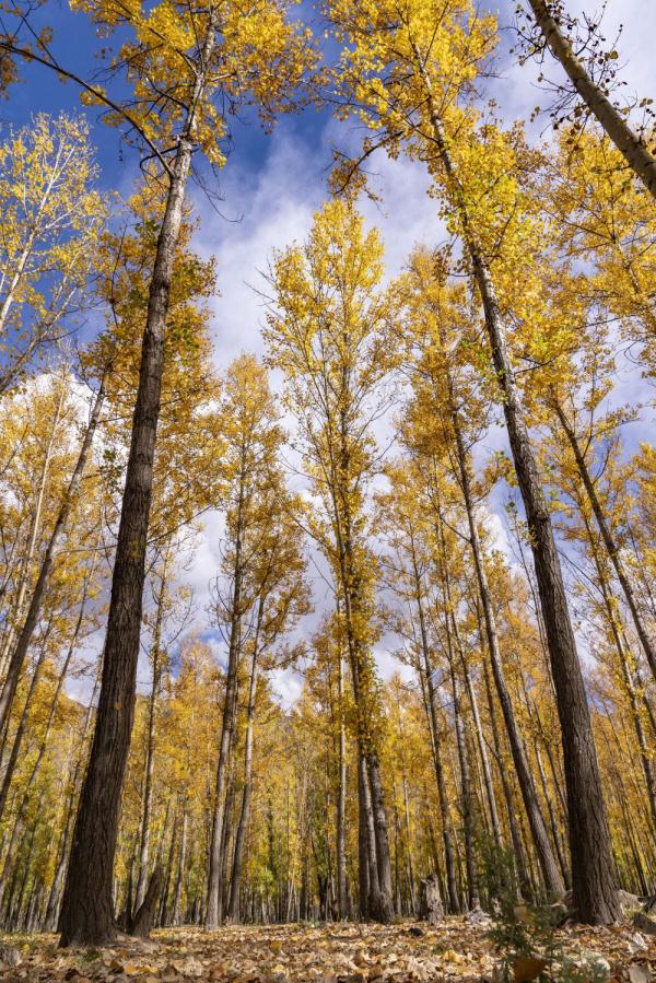 跟我，踏上最美“景觀大道”