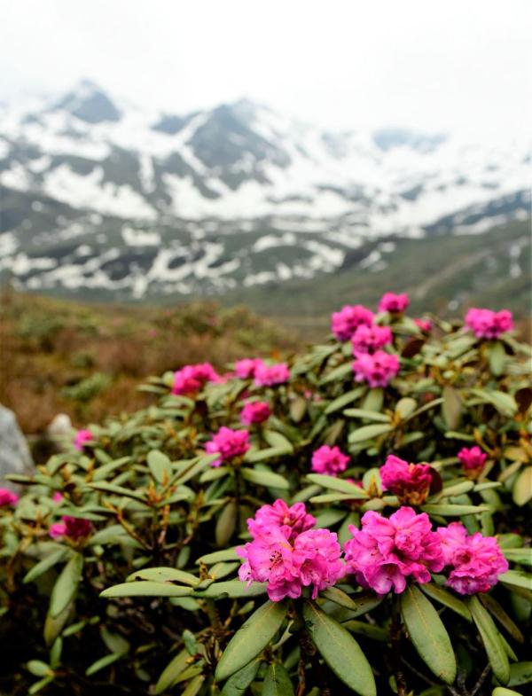 跟我，踏上最美“景觀大道”