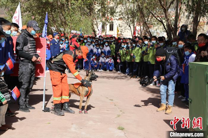 圖為搜救犬服從和箱體搜救演練。　趙琳 攝